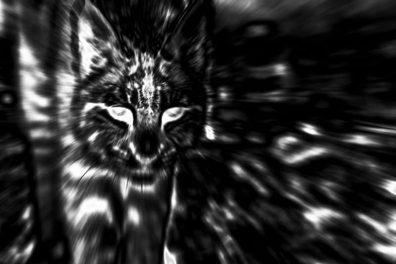 Illustration for article titled 18 Oddworld Photos That Reverse Light And Dark